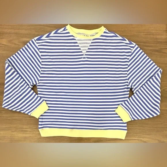HOST PICK 🎉 NWT💙FREE PEOPLE CLASSIC STRIPE OVERSIZED CREWNECK - Picture 4 of 4